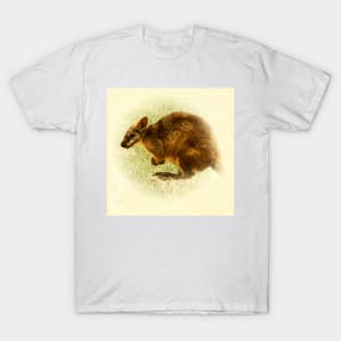 Kangaroo T-Shirt